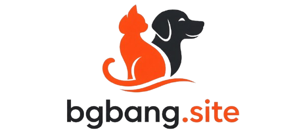 bgbang.site